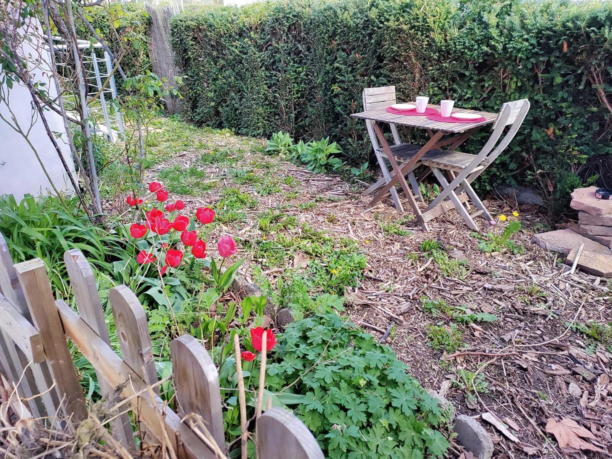 Ferienwohnung Les Coquelicots, Calme, Jardin Colmar Exterior foto